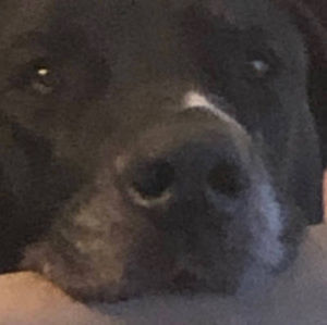 Meet your Posher, Eddie